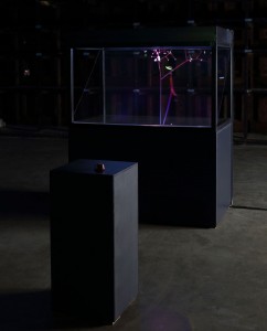 http://www.sonyeoul.com/files/gimgs/th-23_항상성을 추구하는 나무, 마우스,좌ㅏ대,PC,홀로그램j,128x78x187cm,2017.jpg